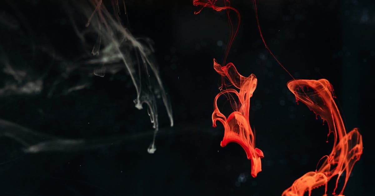 วิธีสมัครเว็บหวยออนไลน์ ขั้นตอนละเอียด มือใหม่ทำตามได้ | CUHK Alumni Con...